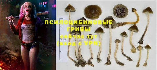 хмурый Липки