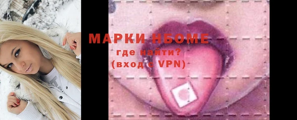 хмурый Липки