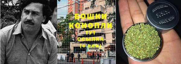крисы Лиски