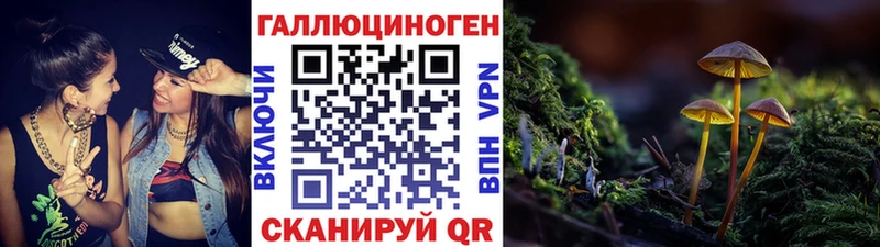 Псилоцибиновые грибы Cubensis  Купить  Осташков 